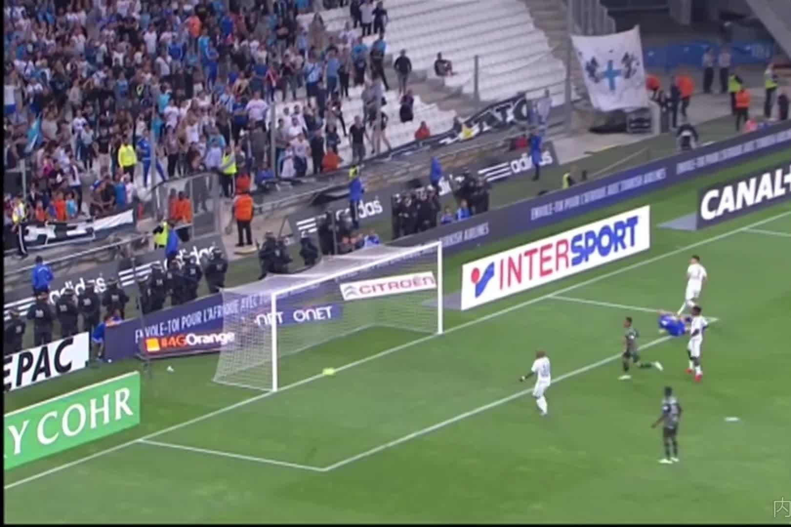 炉膛一体动物油熬练直烧锅