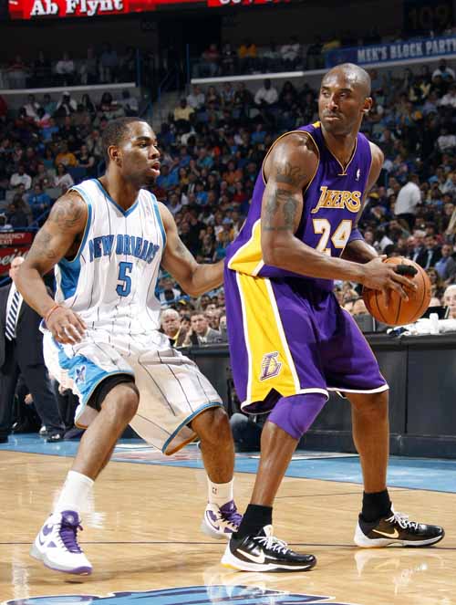 10吨植物油精炼设备