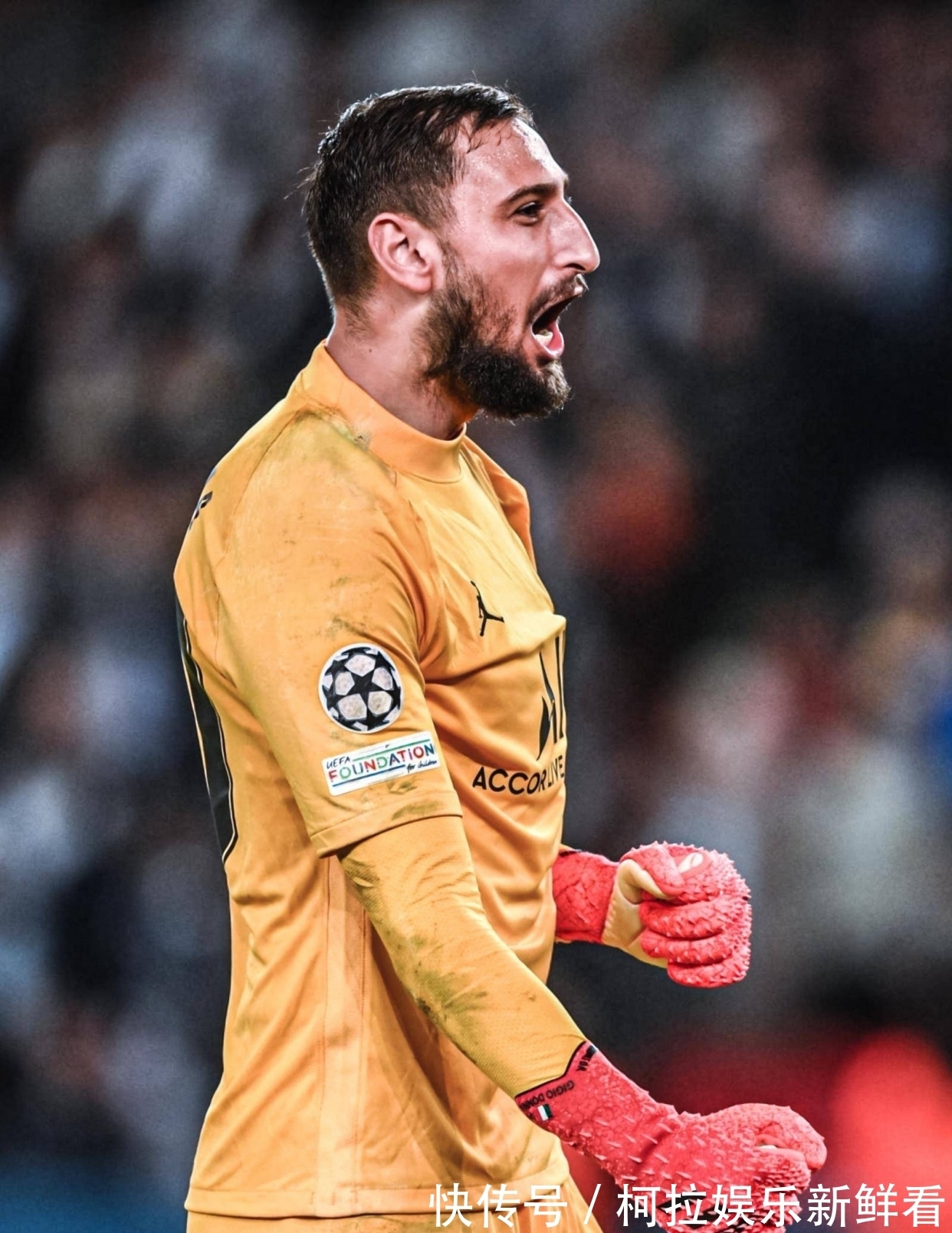 YZY180型螺旋榨油机