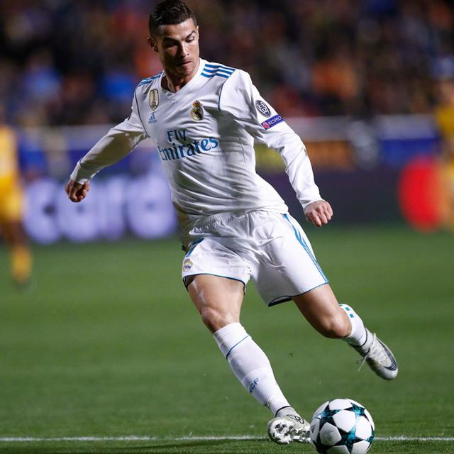 炉膛一体动物油熬练直烧锅