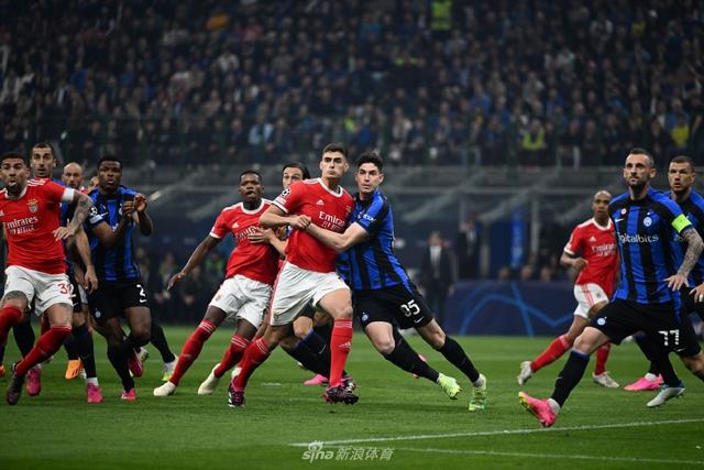 1吨-10吨茶籽油生产线